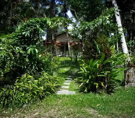 Bungalow 5