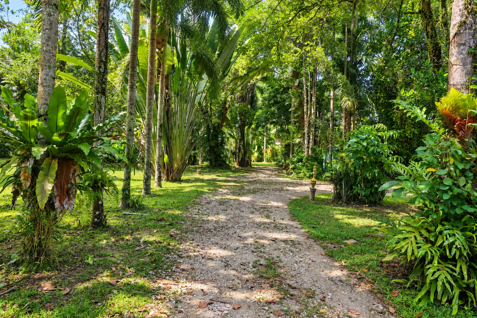 Der tropische Garten der Lake View Bungalows