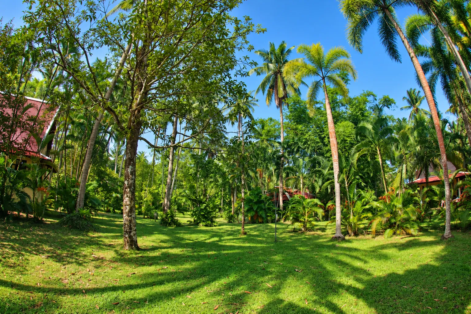 Der tropische Garten der Lake View Bungalows